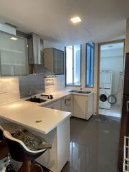 Cairnhill Crest (D9), Condominium #585313641